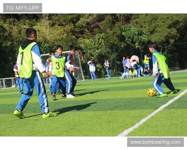 绿茵争锋激情绽放世界足坛豪强逐梦荣耀时刻