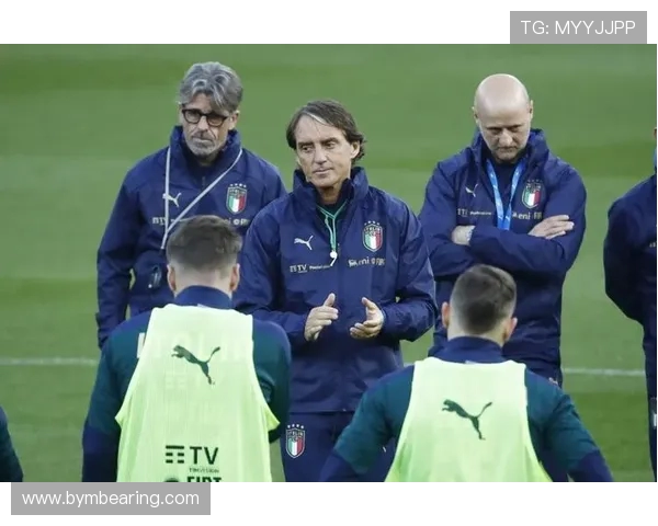 南京足球队转型之路探索新机遇与挑战的全景报道