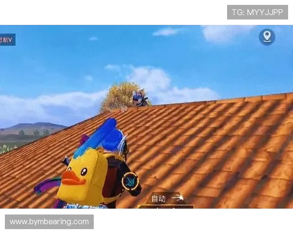 和平精英中的团队协作：WE战队成功背后的策略与实践探讨