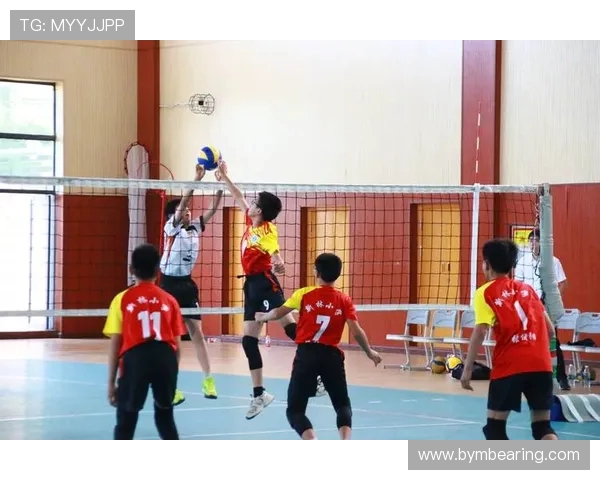 重庆排球队灵活应变的策略与训练探索之路