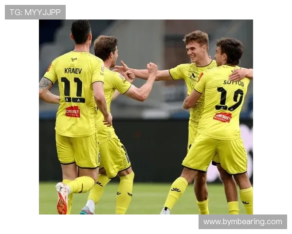 2017年西悉尼对阵惠灵顿精彩赛事回顾与分析