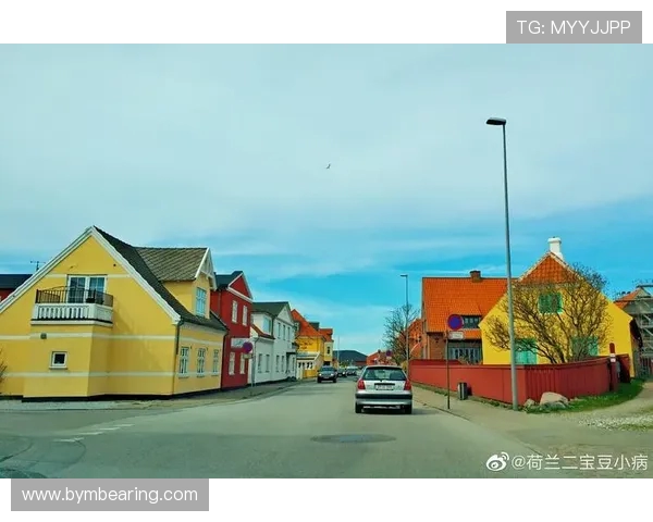 丹麦与德国历史交汇的百年风云与文化碰撞探秘