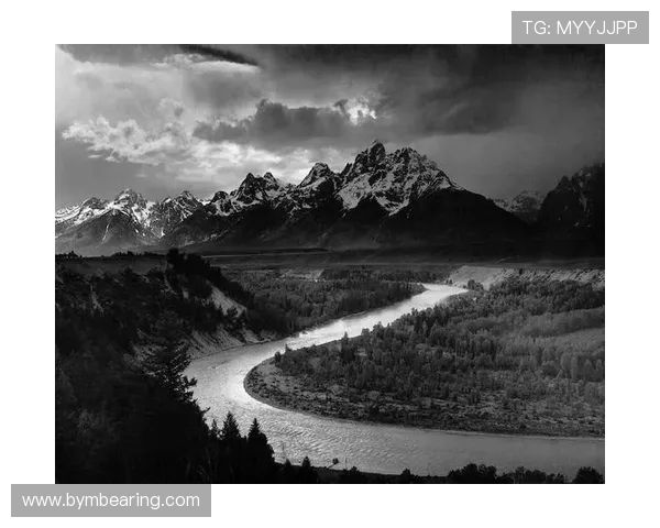 亚当斯的传奇人生与影响力探讨:从历史到现代的深刻启示