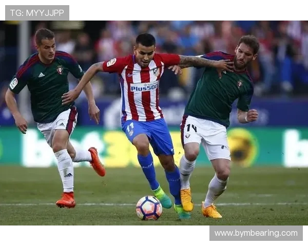 冰岛与芬兰足球比赛最新比分动态及赛况分析